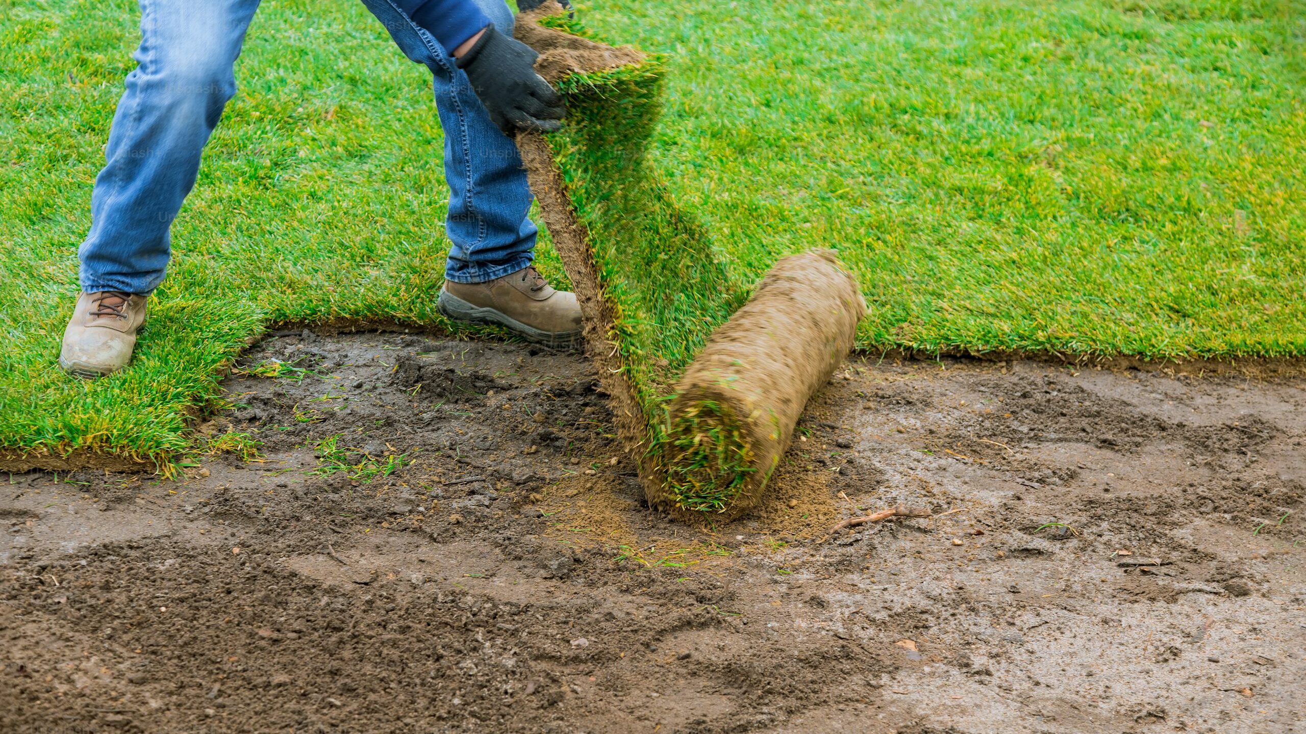 Sod Installation